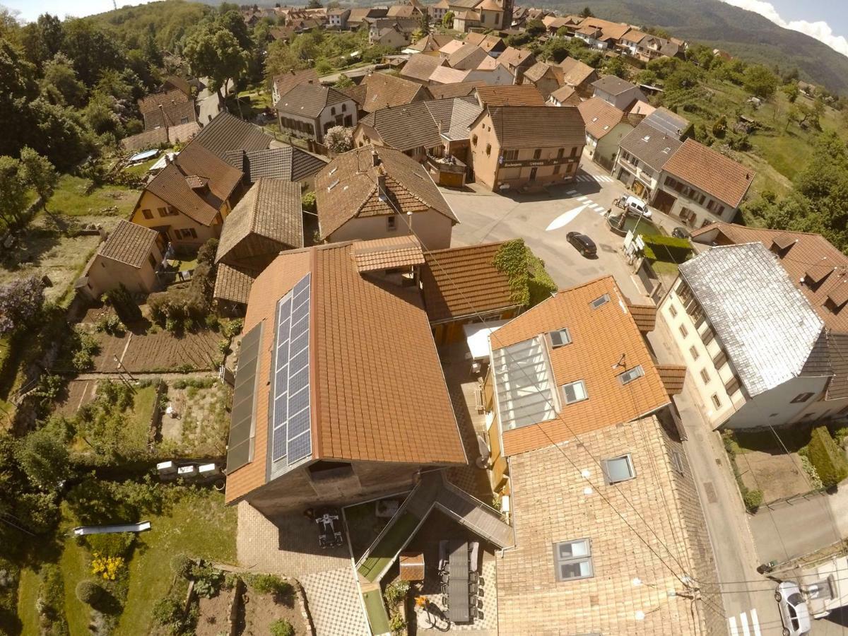 Le Domaine Du Verger, Chambres D'Hotes Osenbach Zewnętrze zdjęcie